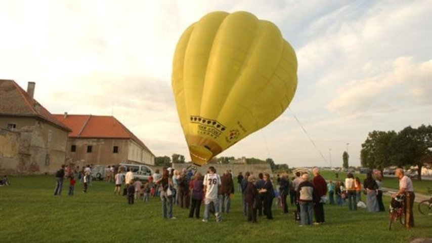2006 (2)